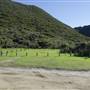 Shelley Beach & surrounds - West Cape Howe National Pk