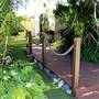 Wattle Grove