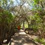 Dongara - Port Denison