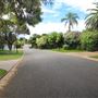 The Boronia
