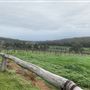 Dwellingup