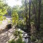Lane Poole Reserve Dwellingup