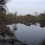 Capercup Nature Reserve