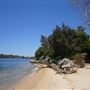 Mosman Park - Minim Cove