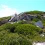 Garden Island -  Overview