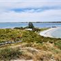 Penguin Island Conservation Park