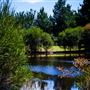 The Pines Lake Park