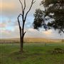 Fairbridge Village, Pinjarra