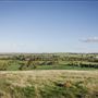 Buckland Estate