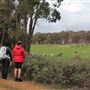 Darkan to Collie Rail Trail