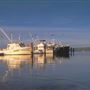 Albany - Emu Point