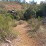Lesmurdie Falls
