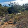 Lesmurdie Falls