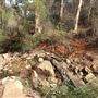 Lesmurdie Falls