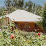 Edenvale Homestead Precinct