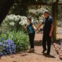 Rose Garden at Edenvale Homestead