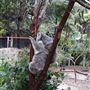 Perth Zoo