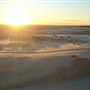 Yeagarup Sand Dunes