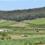 Bickley-Carmel Valley