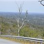 Zig Zag Scenic Drive