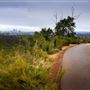 Zig Zag Scenic Drive