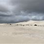 Lancelin