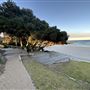 Cottesloe Beach