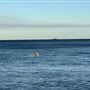 Cottesloe Beach