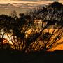 Esperance