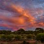 Goldfields - Esperance Region
