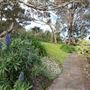 Albany - Strawberry Hill Farm