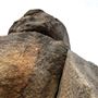 John Forrest National Park
