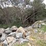 Wungong Regional Park