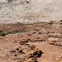 Kalbarri - Eagle Gorge
