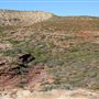 Kalbarri - Eagle Gorge