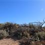 Kalbarri - Eagle Gorge