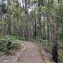 Wellington National Park