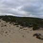 Kilcarnup Beach