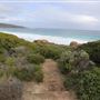 Yallingup - Torpedo Rock