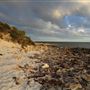 Dynamite Bay