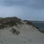 Sandy Cape