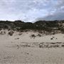 Claytons Beach
