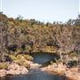 Dwellingup State Forest