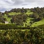 The Chittering Valley