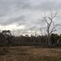 Capercup Nature Reserve
