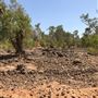 Kimberley-Charnley River Rainforest