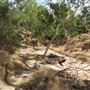 Stockyard Gully National Park