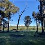 Shambala Forest Retreat