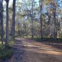 Shambala Forest Retreat