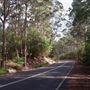 Denmark/Albany Forest Roads